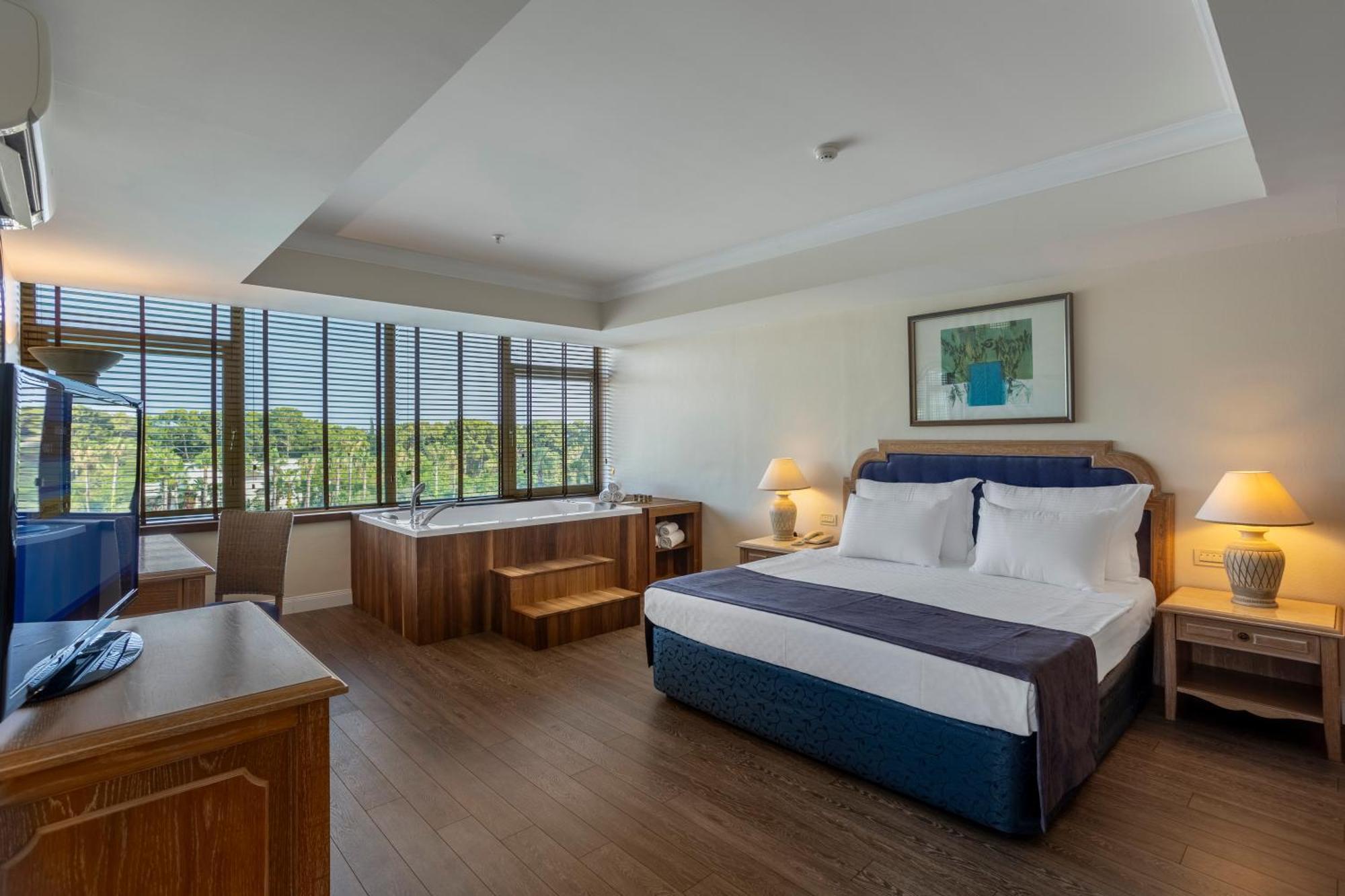 Deluxe King Suite