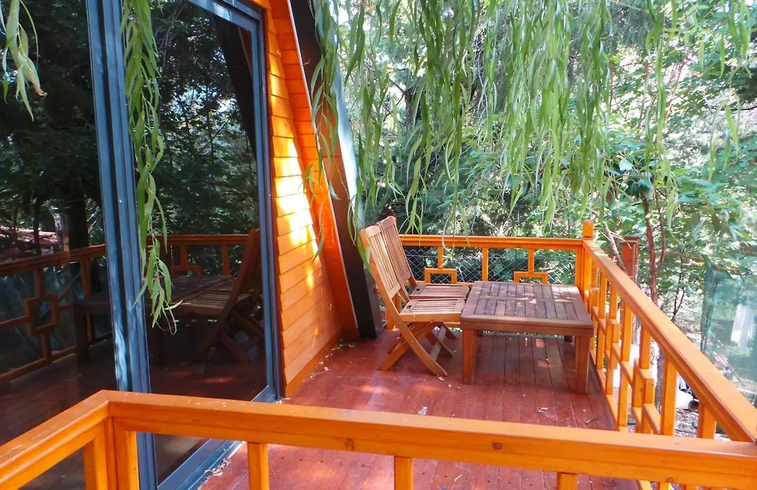 Trinitys Forest Bungalows-1