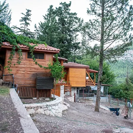 Trinitys Forest Bungalows-3