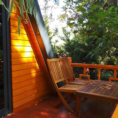 Trinitys Forest Bungalows-2