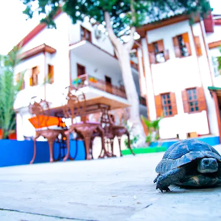 Kaliptus Hotel-3