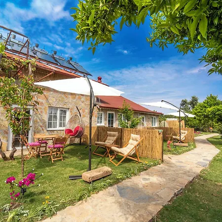 Kamkat Otel-3