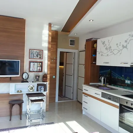 Hande Homes-2