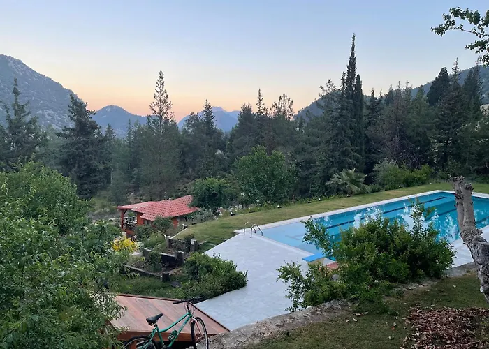 Trinitys Forest Bungalows